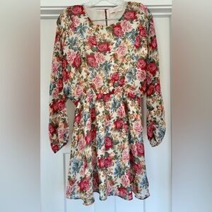 WAYF Rose Garden Floral Sheer dress size small